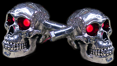 NEW SKULL TURN SIGNALS></A></CENTER>
<li>High Detail Polished Aluminum Skull Turn Signals with Super Bright AMBER 

L.E.D.s</li>
<li>$379 plus shipping and handling</li>
<li><form target=