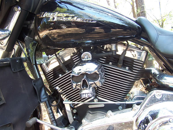 NEW HORN COVER FOR HARLEY DAVIDSON 93 TO PRESENT FITS ALL BIG TWINS!!